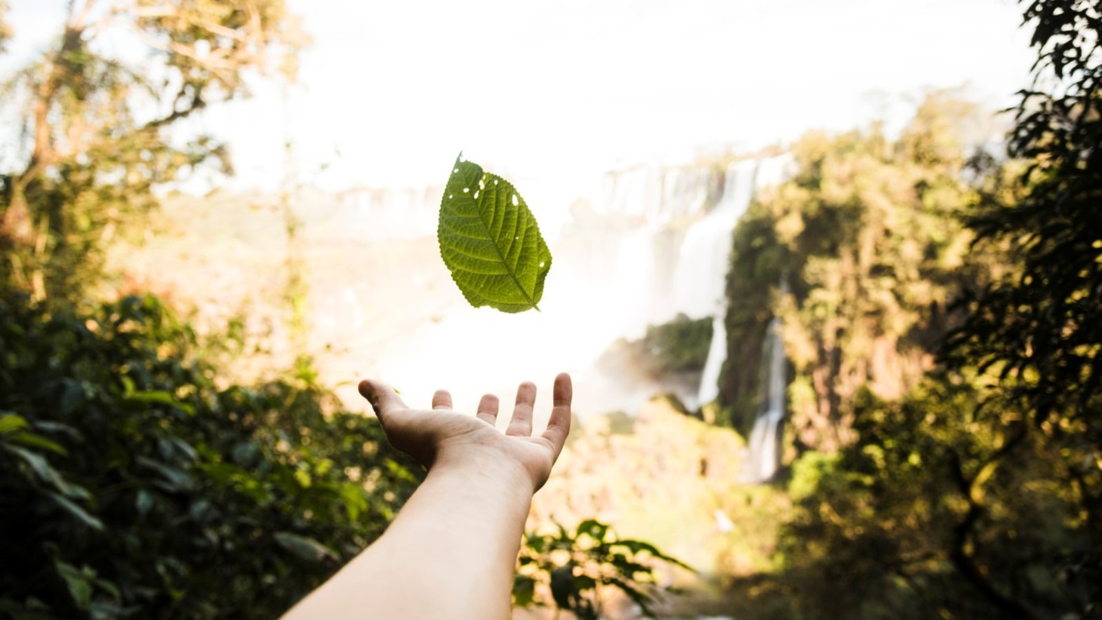 compensasao-reserva-ambiental
